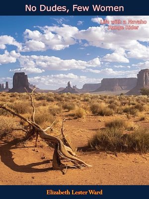 cover image of No Dudes, Few Women